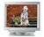 Hitachi RasterOps MC8115 Monitor