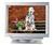 Hitachi RasterOps MC8135 Monitor