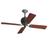 Hunter 18862 Iron with Oak/Cherry Blades Ceiling...