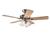 Hunter 20481 The Wellesley Brushed Nickel Ceiling...