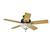 Hunter 20531 52"The Vista Ceiling Fan