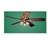 Hunter 20541 Summer Breeze Plus® Ceiling Fan