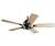 Hunter 20613 Salinas Hammered Iron Ceiling Fan