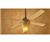 Hunter 21185 Zo?? Brushed Nickel Ceiling Fan