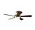 Hunter 21617 Palermo? Ceiling Fan