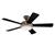 Hunter 21618 Palermo® Brushed Bronze Ceiling Fan