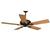 Hunter 21968 Santa Barbara Bronze Platina Ceiling...