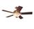 Hunter 22453 The Brookline Bright Brass Ceiling Fan
