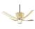 Hunter (23590) Burnished Brass Ceiling Fan