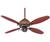 Hunter 23721 Casbah? Satin Bronze with Faux Acorn...