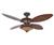 Hunter 23895 Antique Black Ceiling Fan