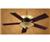 Hunter (25417) Ceiling Fan