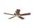 Hunter 25511 Summer Breeze? Ceiling Fan