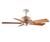 Hunter 28172 Etruscan Ancient Platinum Ceiling Fan