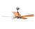Hunter 28402 Captiva Iron Ceiling Fan