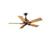 Hunter 28403 Captiva New Bronze Ceiling Fan