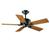 Hunter 28431 Madison County Antique Black Ceiling...