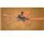 Hunter 28470 Ceiling Fan