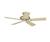 Hunter 52" Dominion Fossil Ceiling Fan