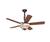 Hunter 56in Creekside Ceiling Fan
