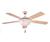 Hunter Casa Grande 52" Ceiling Fan "Flagstone"