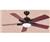 Hunter "Lexus" Traditional 52" Ceiling Fan "Black"...