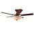 Hunter Park Avenue 28864 Ceiling Fan