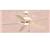 Hunter Traditional Southwest 52" Ceiling Fan "White...