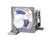 InFocus Lamp Projector Lamp for LP720' LP730 [...