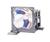 InFocus (SP-LAMP-LP7) Projector Lamp for LP720'...