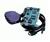 Iomega Buz Multimedia Producer Video capture /...