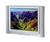 JVC AV-32F485 32" TV