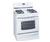 Kenmore 79113 Stainless Steel Dual Fuel (Electric...