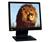 LG Flatron L1710BK (Black) 17 in. Flat Panel LCD...