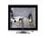 LG L1920PQ (Silver' Black) Monitor
