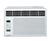 LG WG6007R Thru-Wall/Window Air Conditioner
