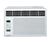 LG WG6007R Thru-Wall/Window Air Conditioner