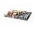 MSI K9N2 SLI Platinum nVidia nForce 750a SLI AMD...