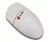 Macally (MM-01) Mouse