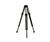 Manfrotto 3181 (Legs only) Tripod