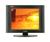 Microtek 201SD (Black) 20.1" LCD Monitor