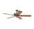 Monte Carlo 5PR52AF Premier Aged Fresco Ceiling Fan
