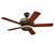 Monte Carlo 5VYR56RBD Vineyard Roman Bronze Ceiling...