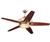 Monte Carlo Arch 5AHR60BSD Ceiling Fan