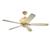 Monte Carlo Fan Company 5RDREW Royal Danube...