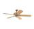 Monte Carlo Pewter Sedona 5SO52MP Ceiling Fan
