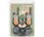 Motorola T6500 2 Pack Rechargeable 2-Way Radio
