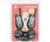 Motorola Talkabout T6500 Rechargeable Two Way Radio...