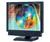 NEC 1560M-BK (Black) 15 in. Flat Panel LCD Monitor