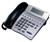 NEC DTH-8D-1 1-Line Corded Phone